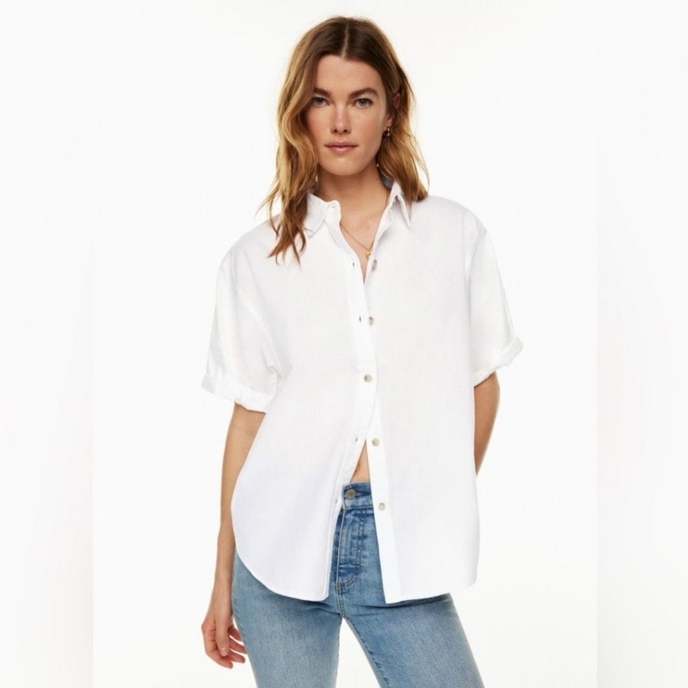Aritzia Denim Forum The Jane Shirt